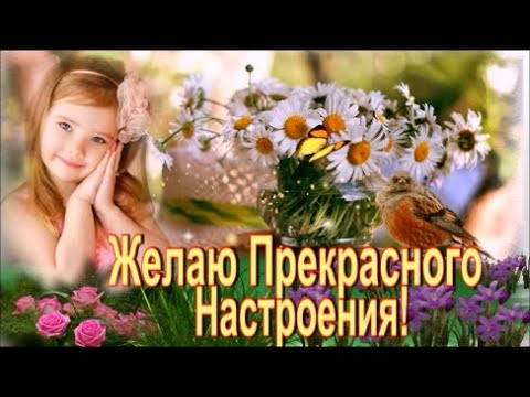 Желаю  Прекрасного Настроения! Музыкальная Открытка  с Пожеланием и Красивая Песня!