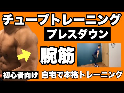 【二の腕】立体的な腕を作る、二の腕引き締め！初心者向けチューブトレーニング