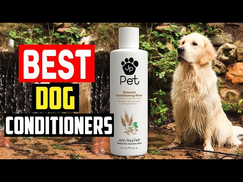 ✅Top 5 Best Dog Conditioners in 2023