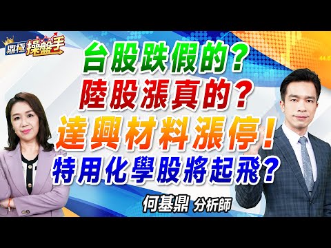 2024.10.23【台股跌假的？ 陸股漲真的？ 達興材料漲停！ 特用化學股將起飛？】#鼎極操盤手 何基鼎分析師