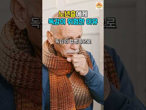 노년층 독감 위험성과 예방 접종의 중요성! 꼭 알아야 할 정보