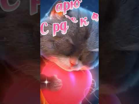 Дарю ❤️