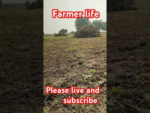 Nature view//#farmer #love #trending #short #viralreels #viralvideo