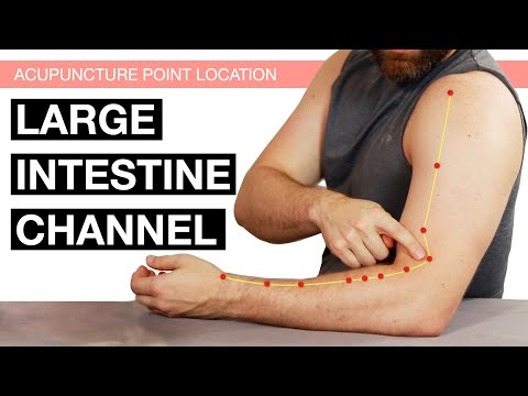 Acupuncture Point Location: The Large Intestine Channel (Large Intestine Meridian)