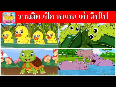 รวมเพลงเด็ก เป็ดอาบน้ำในคลอง | หนอนผีเสื้อ |  เต่าเอ๋ยเต่า |  ฮิปโป