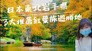 一個人自由行｜東北旅遊【岩手縣】3大推薦紅葉旅遊勝地🍁 猊鼻溪渡船🛶 x 毛越寺 x 中尊寺🏯