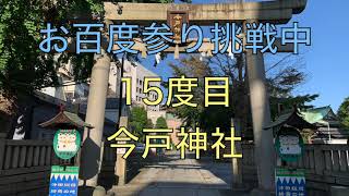 【お百度参り15度目】今戸神社 裏浅草にある縁結びの神様を参拝。白猫の神様に遭遇？