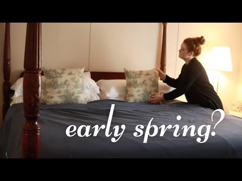 Spring after snow storms | Deep cleaning, farm babies, and shredded beef tacos