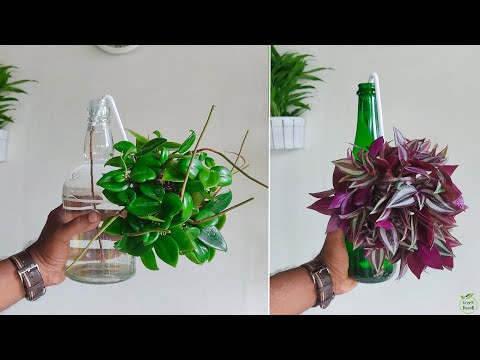 Easily Water Your Plants Without Doing ANY Work | Self Watering System | Auto Watering//GREEN DECOR