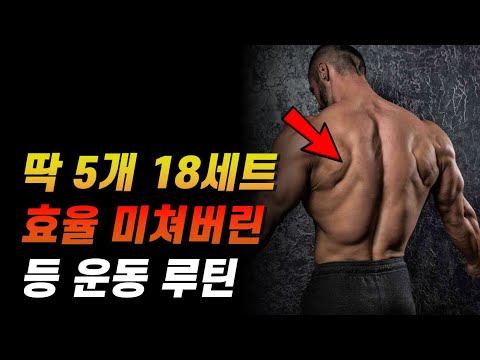 🔥등 운동 루틴 🔥상부부터 하부 광배근까지 다 털어주는 5종목 18세트