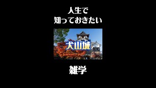 犬山城の意外な雑学#歴史 #観光 #雑学 #旅行ガイド #旅行