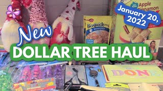 New DOLLAR TREE HAUL!  Fun New Finds! January 20, 2022 #leighshome