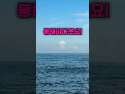 상황별 강아지 얼굴변화 (feat.김더티도 스탠바이미 러버)