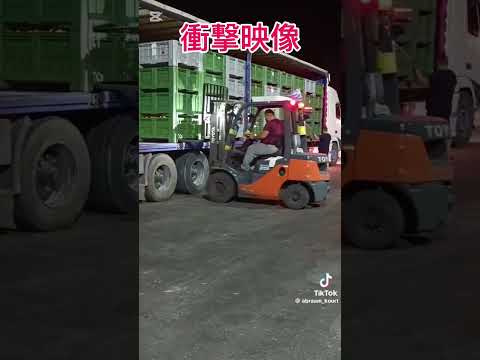 【衝撃映像】海外の運転がヤバすぎる