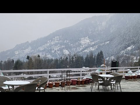 Manali Live Snowfall Update | 24th December 2024