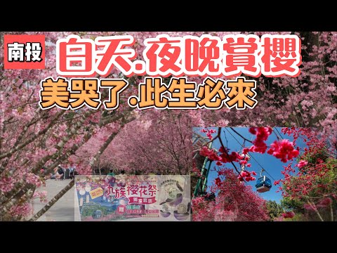 南投九族櫻花村｜中部賞櫻最大景點｜一次可觀賞4種櫻花｜日月潭半日遊潭｜坐纜車空中賞櫻｜各項設施免費玩