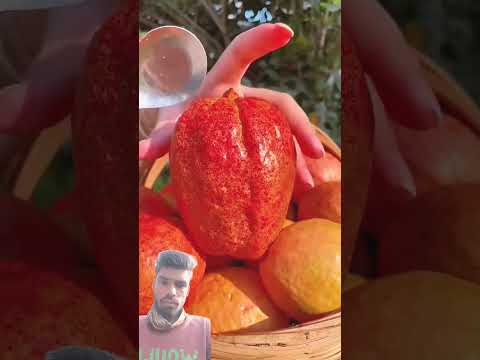 @Malwainspired #satisfying #fruitcutting #mango #fruit #vegetable #nature #carving #plate#trending