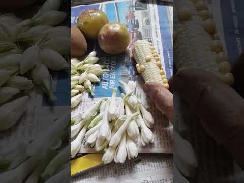 Evening harvest from my terrace garden