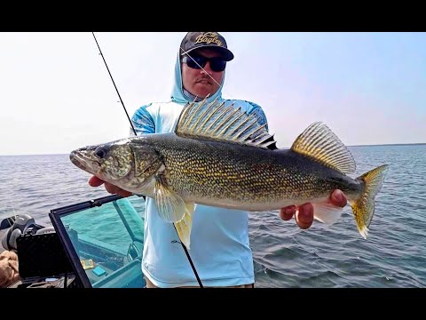 Walleye Beatdown on Jigs & Plastics