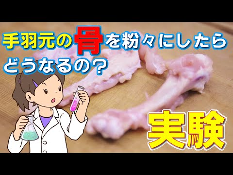 手羽元の骨を粉々に粉砕してみたら、どうなるの？