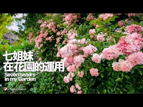 七姐妹在花园中的运用｜围墙｜门廊