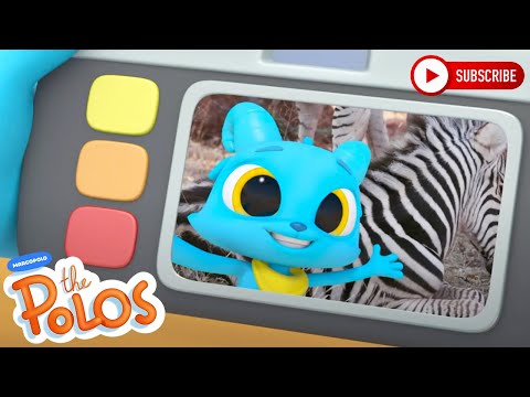 Learning about Zebra's | The Polos | Adventure Learning | Learn At Home