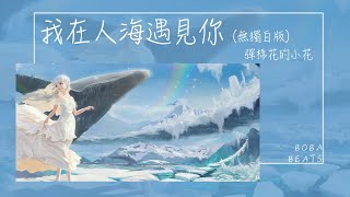 彈棉花的小花 - 我在人海遇見你(無獨白版)『還沒出口只剩嘆息 大風大浪成往昔 偏偏就你成了謎』【Lyrics Video】