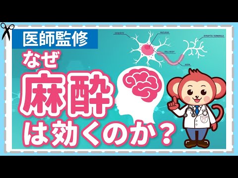 麻酔が効いていても目が覚めた！【麻酔のメカニズム】