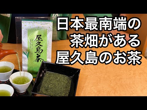 美味しい日本茶の淹れ方　屋久島茶編（屋久島茶の説明、紹介）　Explanation and introduction of Yakushima tea