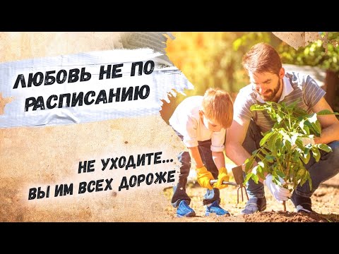 До слез! Сильное стихотворение Андрей Дементьев "Всех дороже" Стихи  о жизни