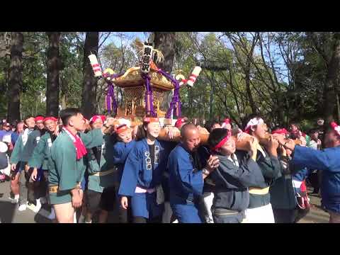 入間万燈まつり【東藤沢神輿】