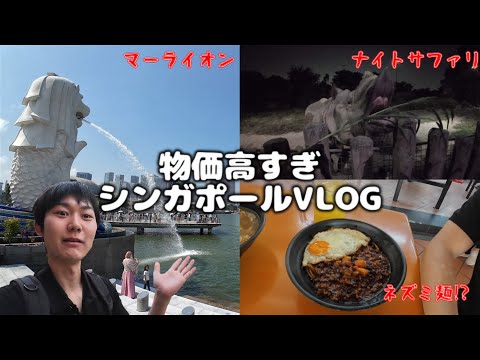 【シンガポール観光vlog】世界で最も物価の高い国に2泊3日で行ってみる！