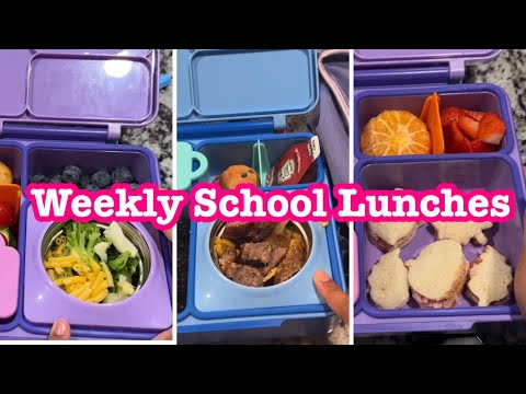 School Lunches 2023 / Packed Lunchboxes / School Lunch Ideas