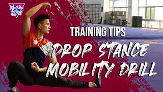 Get an Amazing Pubu (Drop Stance) With This Unique Wushu Mobility Drill by Champion Johnny Sun!