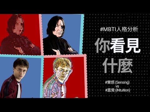 MBTI 系列 － 實感 vs 直覺 深入分析 ｜你看見什麼？｜哈利跟石內卜  【繁體中文字幕】