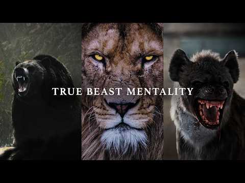 TRUE BEAST MENTALITY - Best Motivational Video Speeches Compilation