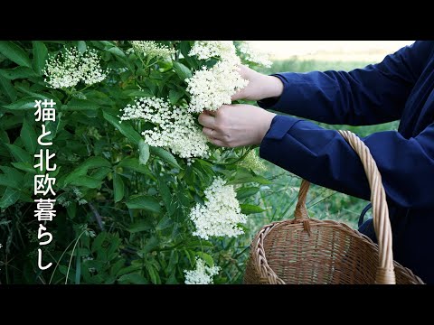 Scandinavian living 🌿Arrange the interior of my new home / Summer in Sweden to enjoy elderflowers