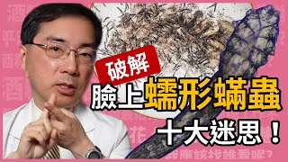 破解蠕形蟎蟲十大迷思，皮膚科林政賢醫師一一幫你破解。