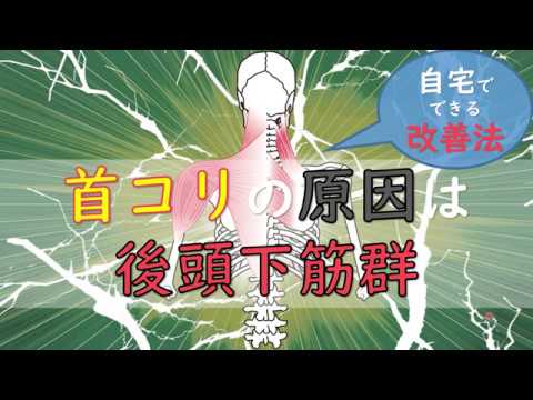 【首コリの原因】は後頭下筋群(こうとうかきんぐん)自宅で簡単にできる改善法！