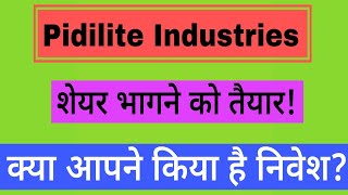 pidilite industries share latest news