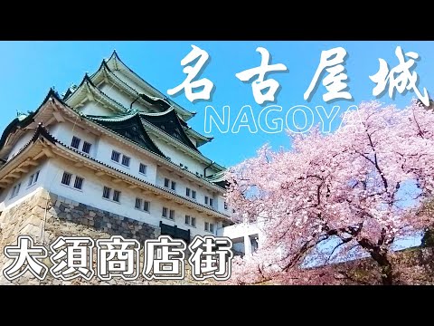 【名古屋觀光】名古屋城｜名古屋自由行｜名古屋一日遊｜東海道巨城｜名古屋必吃｜日本100名城紀行｜NAGOYA｜HARBS蛋糕｜名鐵｜JR東海道｜大須觀音寺｜大須商店街｜日本三大觀音｜本丸御殿｜桜