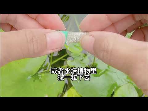 想要植物安全过冬，这件事要做好