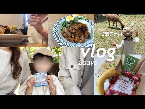 【2days vlog】プロテインスムージーから始まる朝🍌🥛自分時間と子供との時間どちらも大切にする休日🌿抱っこさせてくれない2歳児👧🏻【休日】