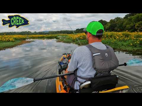 Fishing Backwater Creeks and Swamps on Guntersville