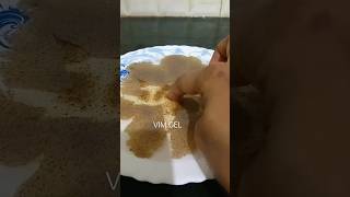 black pepper vs vim gel #shorts #viral #easyscienceexperimentstodoathome