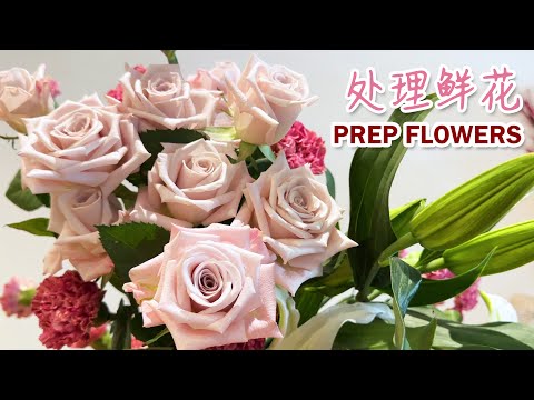 How to Prep Fresh Flower DIY 鲜花处理 【醒花】 handle & care  养护 | 花艺