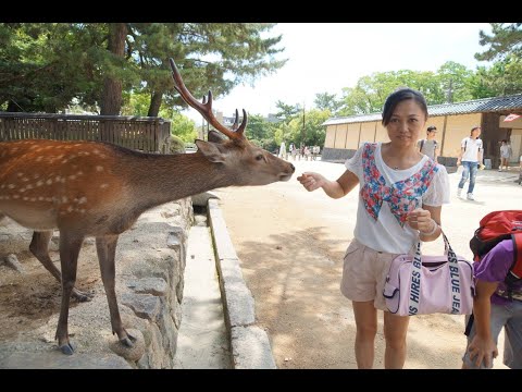 (日本旅遊) 關西七日Day3 20120816