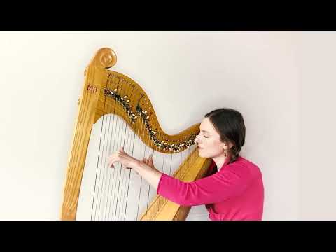 Down by the Salley Gardens - Celtic lever harp solo