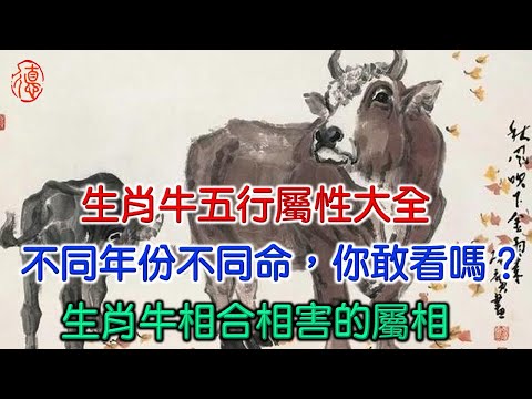 生肖牛五行屬性大全，不同年份不同命，你敢看嗎？生肖牛相合相害的屬相。