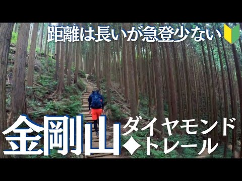 金剛山初心者にオススメ！ダイヤモンドトレール経由で山頂へ　初心者ソロ登山Vol.12